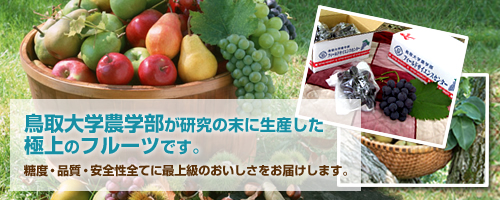 鳥取大学農学部が研究の末に生産した極上のフルーツです。糖度・品質・安全性全てに最上級のおいしさをお届けします。